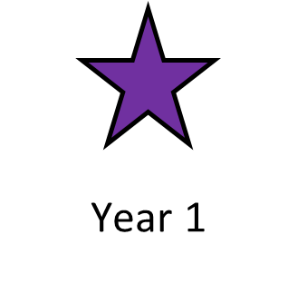 year 1 leverhulme star