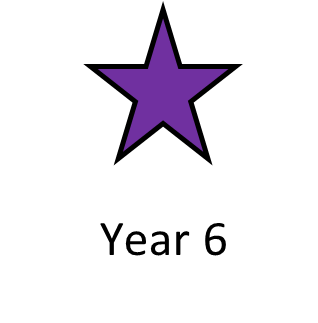 year 6 leverhulme star